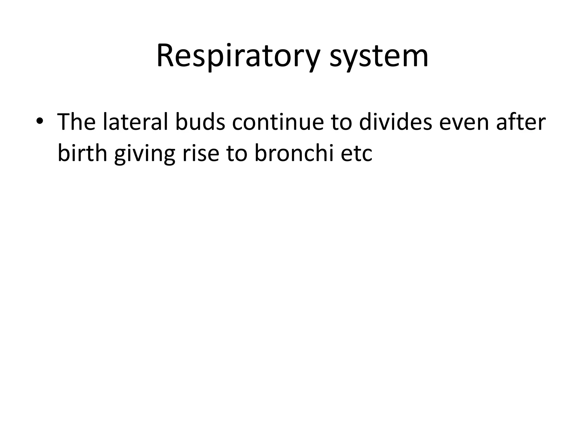 Respiratory system
• The lateral buds continue to divides even after
birth giving rise to bronchi etc

 