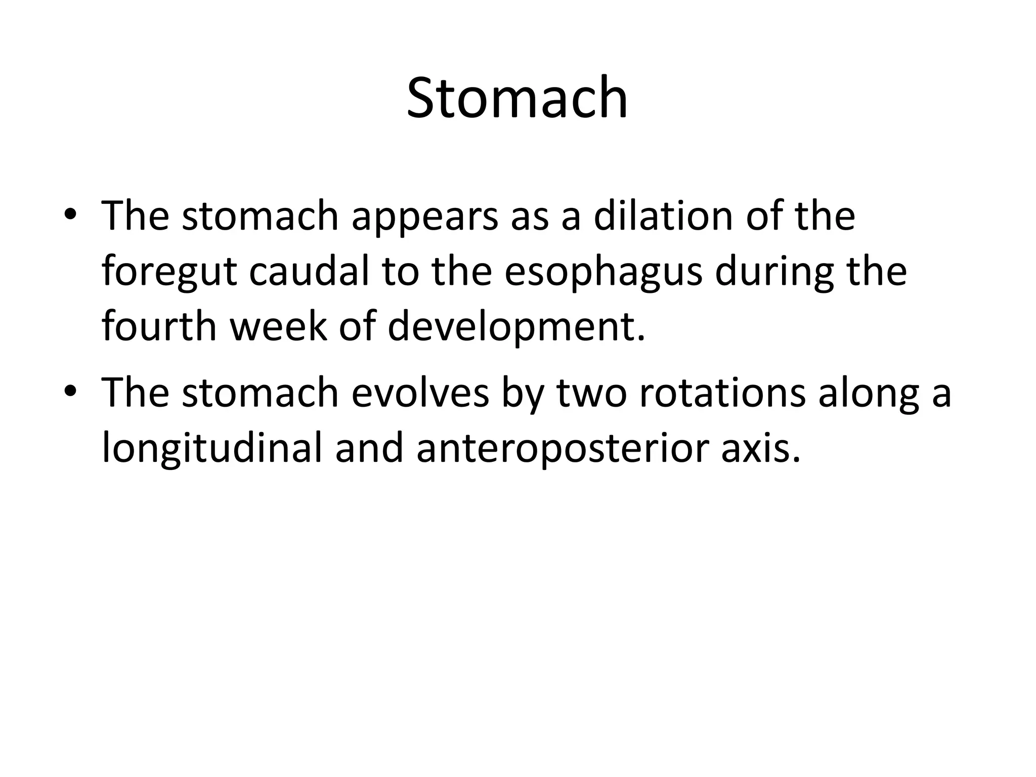 Stomach
• The stomach appears as a dilation of the
foregut caudal to the esophagus during the
fourth week of development.
• The stomach evolves by two rotations along a
longitudinal and anteroposterior axis.

 