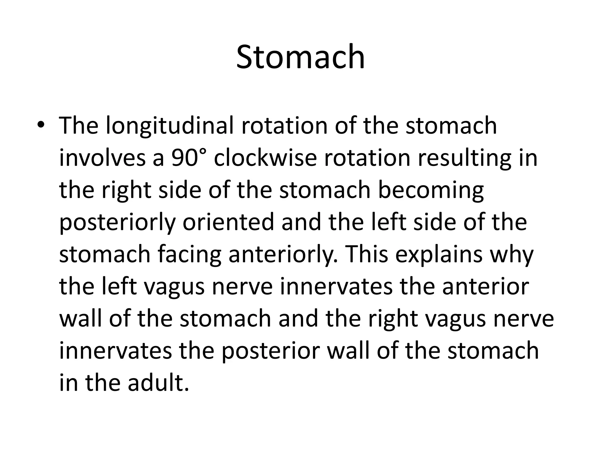 Stomach
• The longitudinal rotation of the stomach
involves a 90° clockwise rotation resulting in
the right side of the stomach becoming
posteriorly oriented and the left side of the
stomach facing anteriorly. This explains why
the left vagus nerve innervates the anterior
wall of the stomach and the right vagus nerve
innervates the posterior wall of the stomach
in the adult.

 