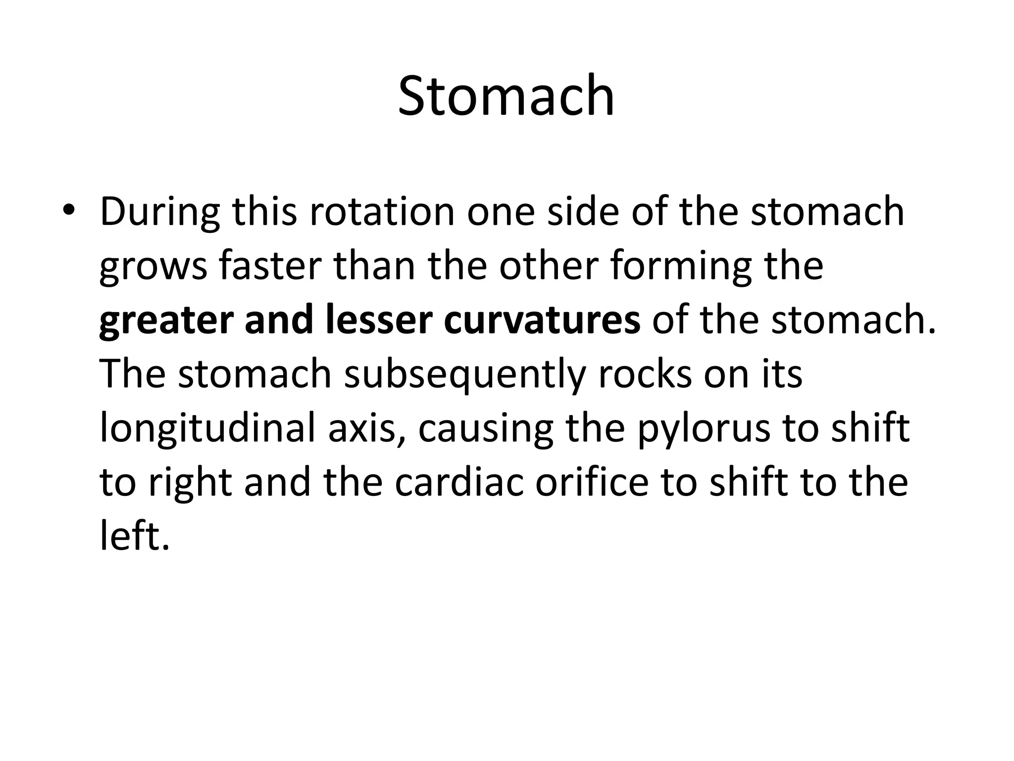 Stomach
• During this rotation one side of the stomach
grows faster than the other forming the
greater and lesser curvatures of the stomach.
The stomach subsequently rocks on its
longitudinal axis, causing the pylorus to shift
to right and the cardiac orifice to shift to the
left.

 