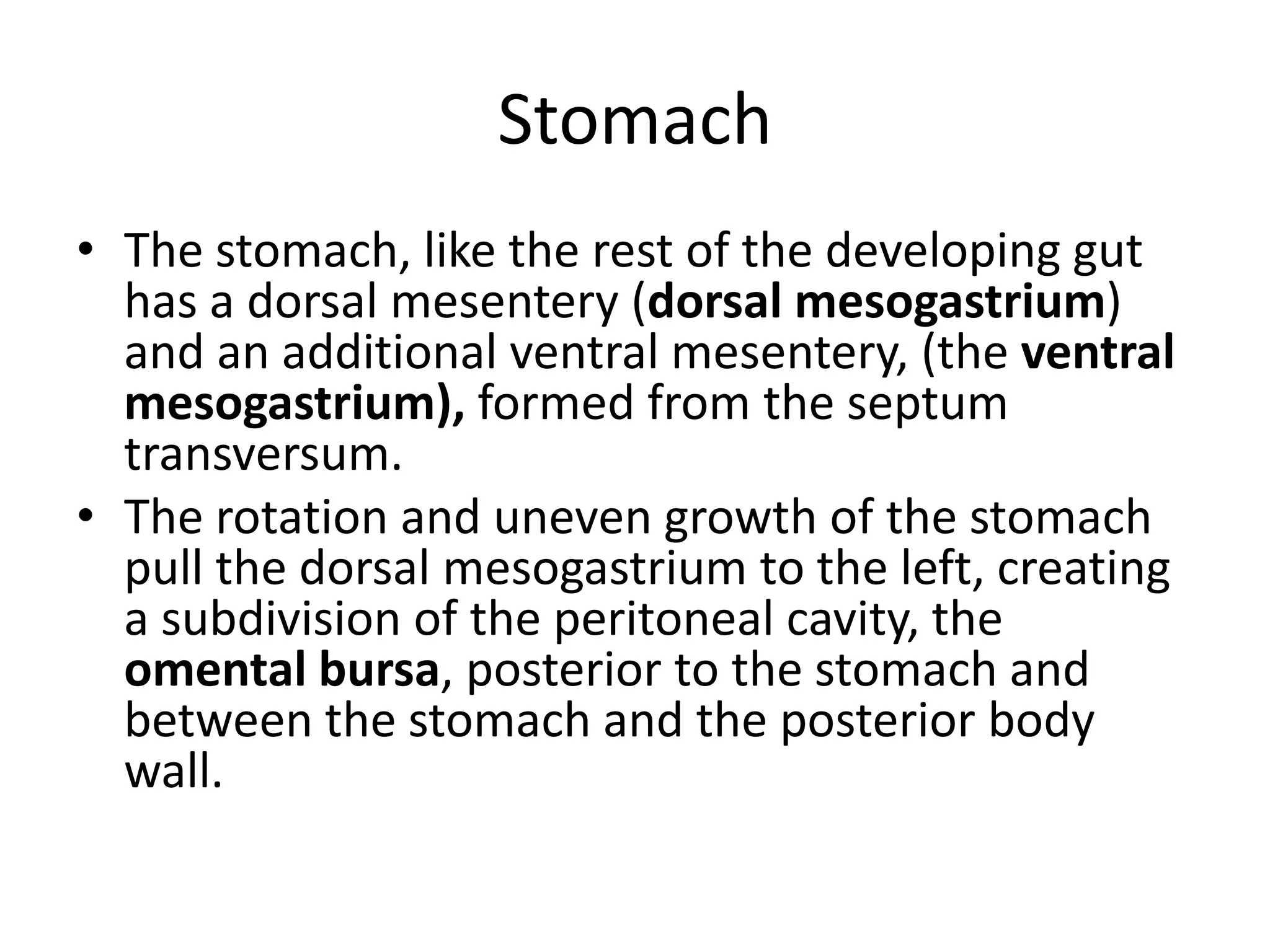 Stomach
• The stomach, like the rest of the developing gut
has a dorsal mesentery (dorsal mesogastrium)
and an additional ventral mesentery, (the ventral
mesogastrium), formed from the septum
transversum.
• The rotation and uneven growth of the stomach
pull the dorsal mesogastrium to the left, creating
a subdivision of the peritoneal cavity, the
omental bursa, posterior to the stomach and
between the stomach and the posterior body
wall.

 