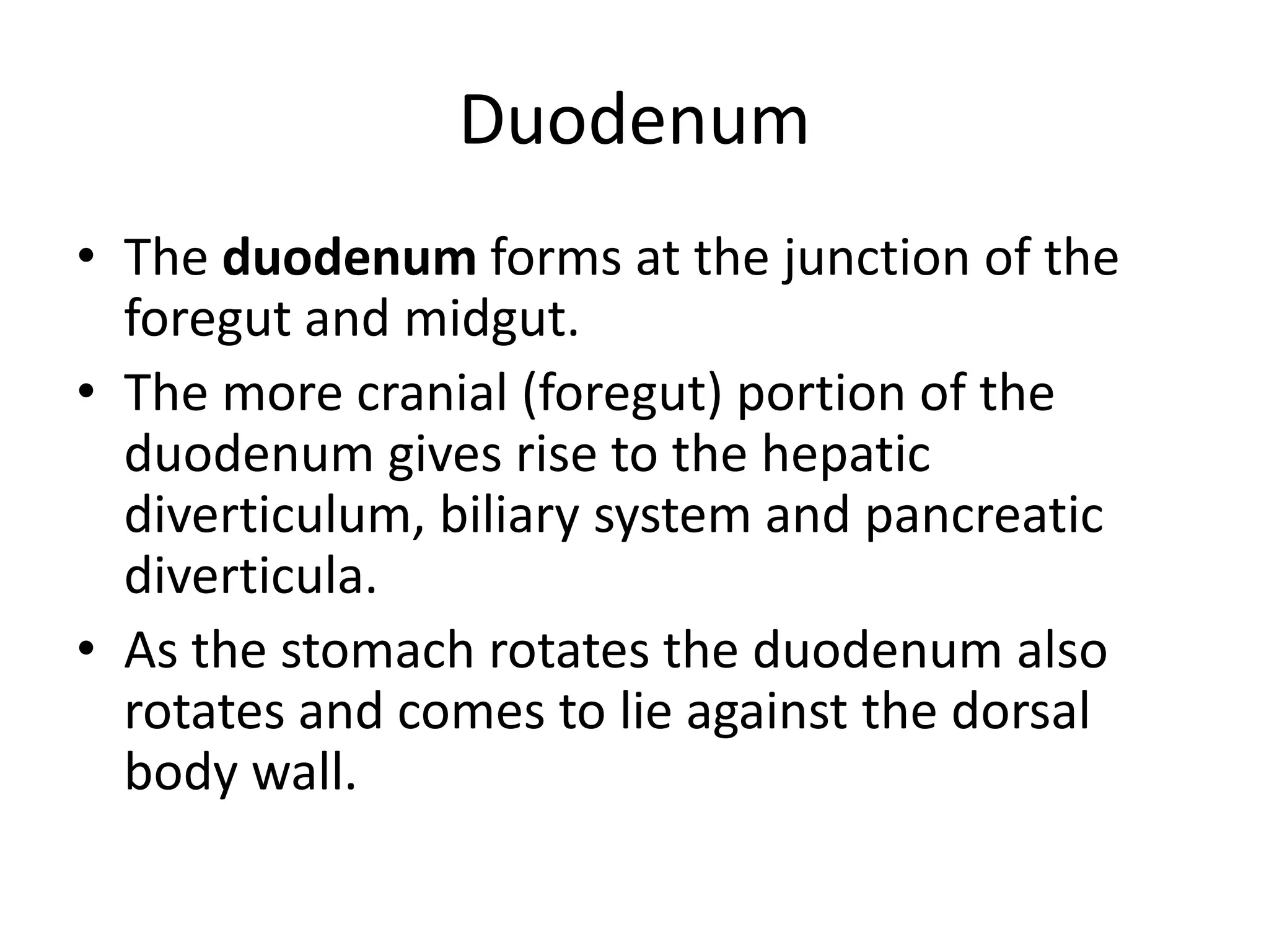 Duodenum
• The duodenum forms at the junction of the
foregut and midgut.
• The more cranial (foregut) portion of the
duodenum gives rise to the hepatic
diverticulum, biliary system and pancreatic
diverticula.
• As the stomach rotates the duodenum also
rotates and comes to lie against the dorsal
body wall.

 