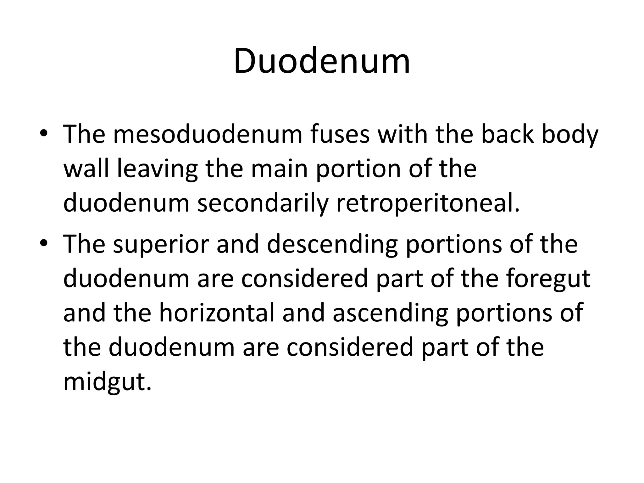Duodenum
• The mesoduodenum fuses with the back body
wall leaving the main portion of the
duodenum secondarily retroperitoneal.
• The superior and descending portions of the
duodenum are considered part of the foregut
and the horizontal and ascending portions of
the duodenum are considered part of the
midgut.

 