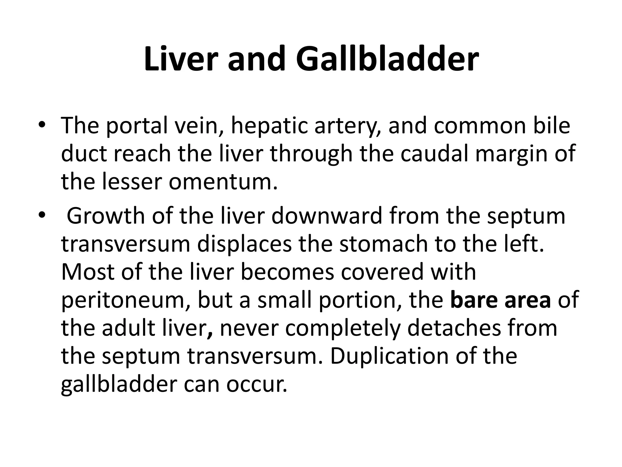 Liver and Gallbladder
• The portal vein, hepatic artery, and common bile
duct reach the liver through the caudal margin of
the lesser omentum.
• Growth of the liver downward from the septum
transversum displaces the stomach to the left.
Most of the liver becomes covered with
peritoneum, but a small portion, the bare area of
the adult liver, never completely detaches from
the septum transversum. Duplication of the
gallbladder can occur.

 
