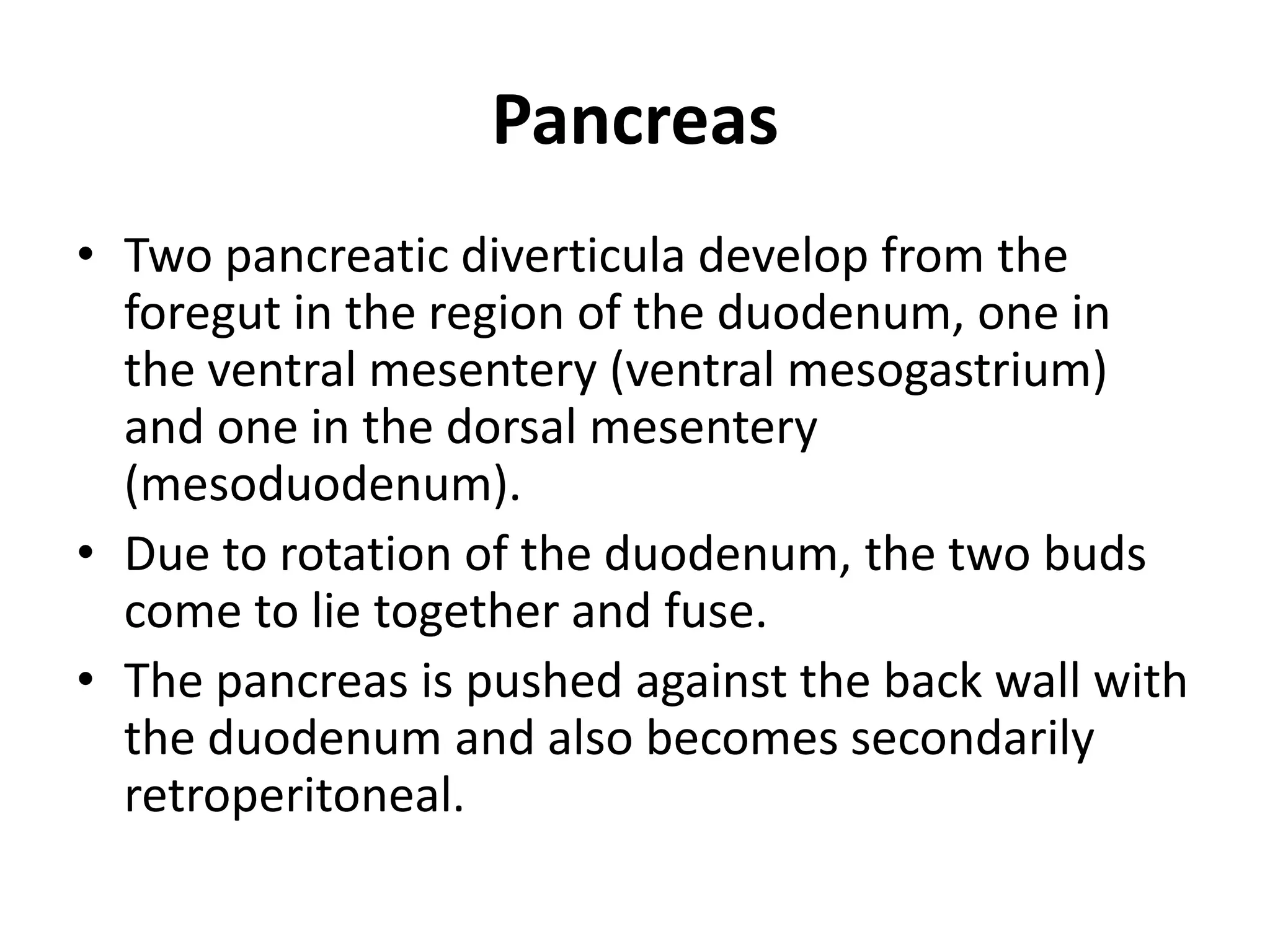 Pancreas
• Two pancreatic diverticula develop from the
foregut in the region of the duodenum, one in
the ventral mesentery (ventral mesogastrium)
and one in the dorsal mesentery
(mesoduodenum).
• Due to rotation of the duodenum, the two buds
come to lie together and fuse.
• The pancreas is pushed against the back wall with
the duodenum and also becomes secondarily
retroperitoneal.

 