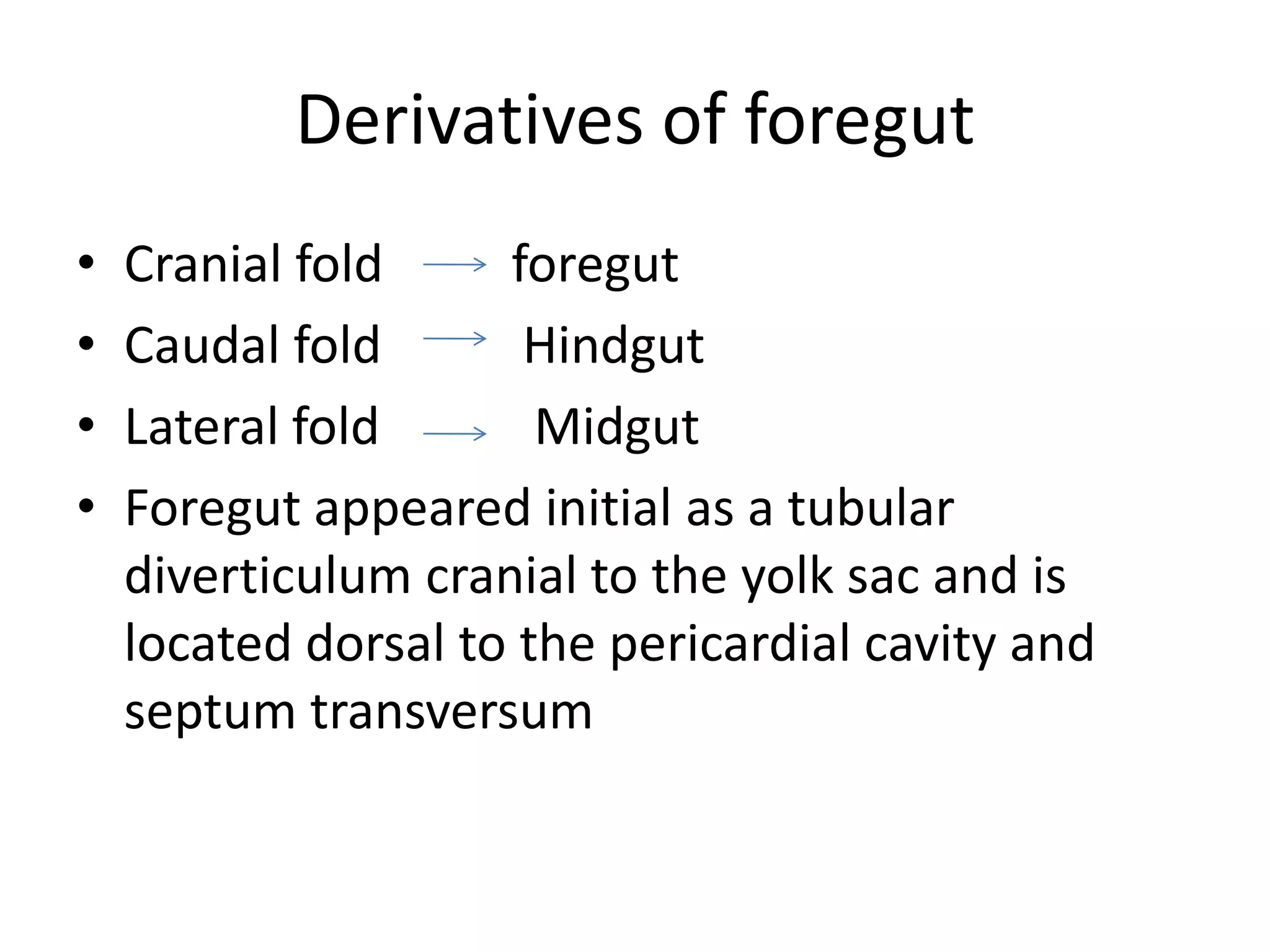 Derivatives of foregut
•
•
•
•

Cranial fold
foregut
Caudal fold
Hindgut
Lateral fold
Midgut
Foregut appeared initial as a tubular
diverticulum cranial to the yolk sac and is
located dorsal to the pericardial cavity and
septum transversum

 