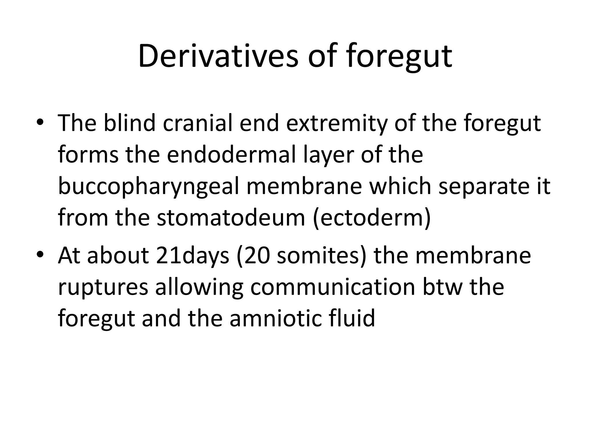Derivatives of foregut
• The blind cranial end extremity of the foregut
forms the endodermal layer of the
buccopharyngeal membrane which separate it
from the stomatodeum (ectoderm)
• At about 21days (20 somites) the membrane
ruptures allowing communication btw the
foregut and the amniotic fluid

 