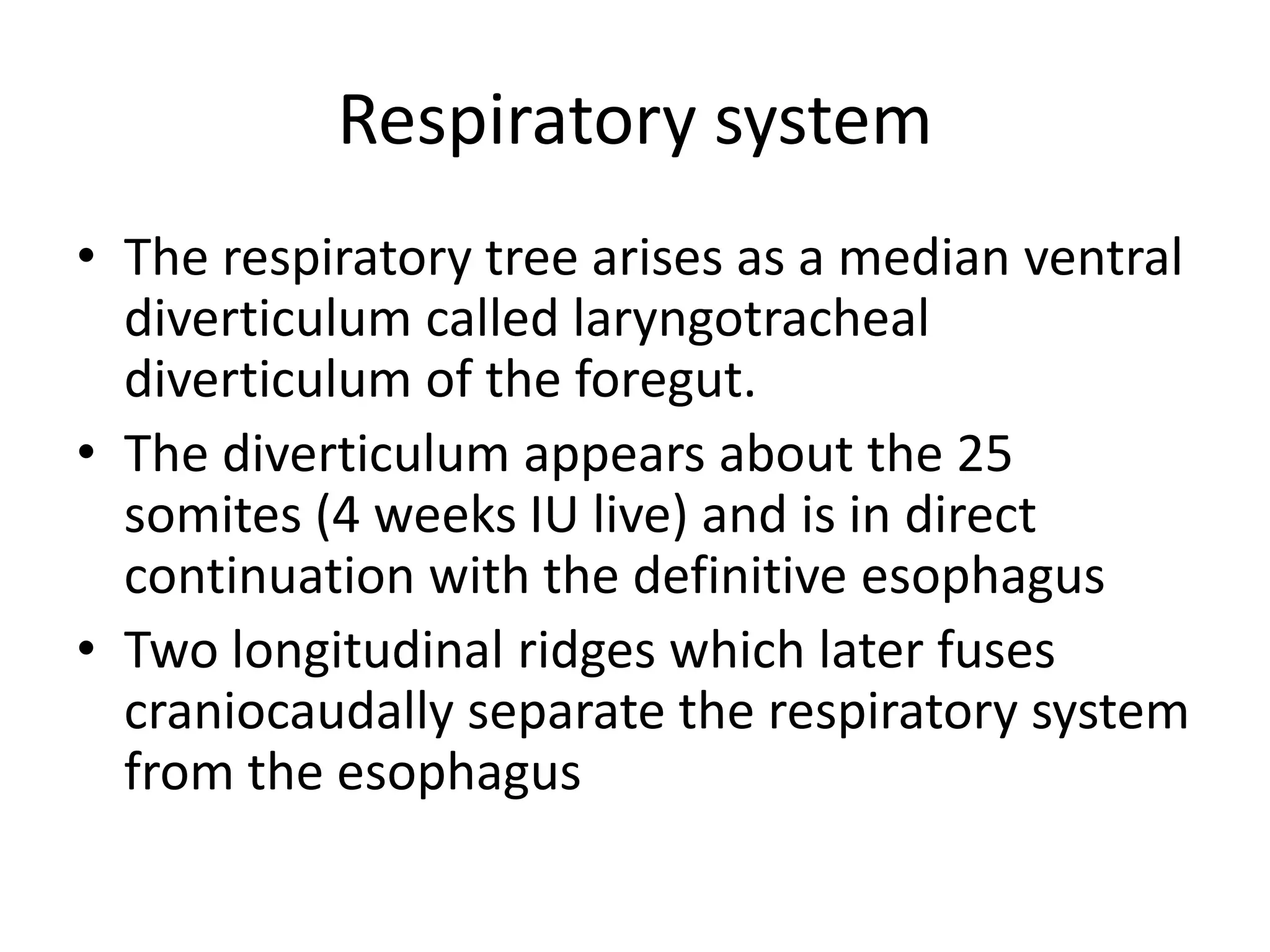 Respiratory system
• The respiratory tree arises as a median ventral
diverticulum called laryngotracheal
diverticulum of the foregut.
• The diverticulum appears about the 25
somites (4 weeks IU live) and is in direct
continuation with the definitive esophagus
• Two longitudinal ridges which later fuses
craniocaudally separate the respiratory system
from the esophagus

 