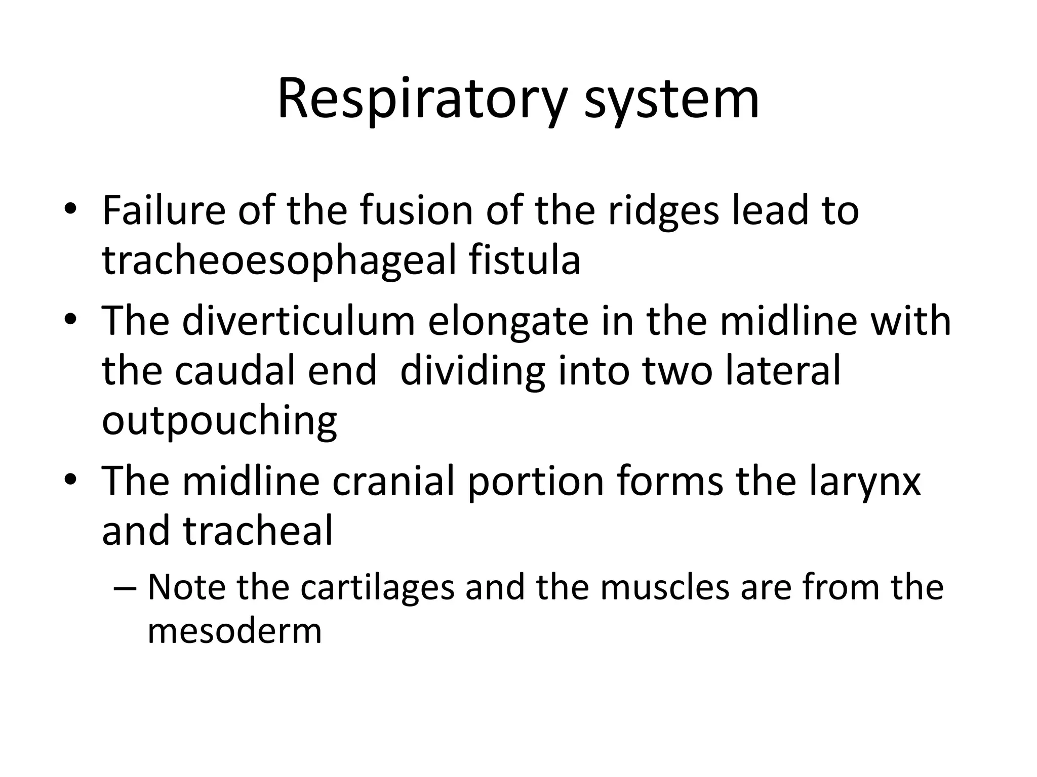 Respiratory system
• Failure of the fusion of the ridges lead to
tracheoesophageal fistula
• The diverticulum elongate in the midline with
the caudal end dividing into two lateral
outpouching
• The midline cranial portion forms the larynx
and tracheal
– Note the cartilages and the muscles are from the
mesoderm

 