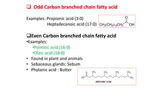  Odd Carbon branched chain fatty acid
Examples: Propionic acid (3:0)
Heptadecanoic acid (17:0)
Even Carbon branched chain fatty acid
•Examples:
•Palmitic acid (16:0)
•Oleic acid (18:0)
• Found in plant and animals
• Sebaceous glands: Sebum
• Phytanic acid : Butter
 