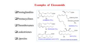Examples of Eicosanoids
Prostaglandins
Prostacyclines
Thromboxanes
Leukotrienes
Lipoxins
 