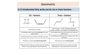 Flow chart of lipid classification
Geometric
 