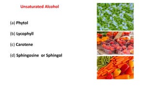 Unsaturated Alcohol
(a) Phytol
(b) Lycophyll
(c) Carotene
(d) Sphingosine or Sphingol
 