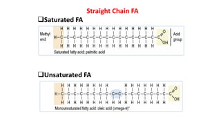 Straight Chain FA
Saturated FA
Unsaturated FA
 