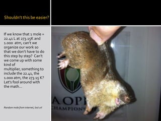 Shouldn’t this be easier?

If we know that 1 mole =
22.41 L at 273.15K and
1.000 atm, can’t we
organize our work so
that we don’t have to do
this step by step? Can’t
we come up with some
kind of
multiplier, something to
include the 22.41, the
1.000 atm, the 273.15 K?
Let’s fool around with
the math…

Random mole from internet, lost url

 