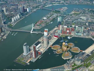 Dutch Research Institute For Transitions

 