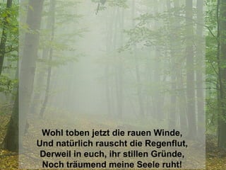 Wohl toben jetzt die rauen Winde, Und natürlich rauscht die Regenflut, Derweil in euch, ihr stillen Gründe, Noch träumend meine Seele ruht! 