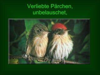 Verliebte Pärchen, unbelauschet, 