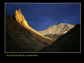 das macht das Dasein so wunderschön 
 