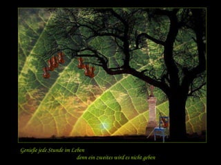 Genieße jede Stunde im Leben 
denn ein zweites wird es nicht geben 
 