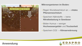 Anwendung
Mikroorganismen im Boden:
• Regen Wurzelwachstum an → vitales
Pﬂanzenwachstum
• Speichern Nährstoﬀe → keine
Nitr...