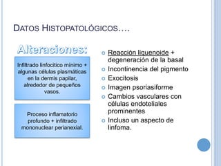 DATOS HISTOPATOLÓGICOS….
 Reacción liquenoide +
degeneración de la basal
 Incontinencia del pigmento
 Exocitosis
 Imagen psoriasiforme
 Cambios vasculares con
células endoteliales
prominentes
 Incluso un aspecto de
linfoma.
Infiltrado linfocitico mínimo +
algunas células plasmáticas
en la dermis papilar,
alrededor de pequeños
vasos.
Proceso inflamatorio
profundo + infiltrado
mononuclear perianexial.
 