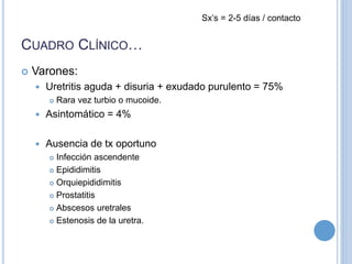 CUADRO CLÍNICO…
 Varones:
 Uretritis aguda + disuria + exudado purulento = 75%
 Rara vez turbio o mucoide.
 Asintomático = 4%
 Ausencia de tx oportuno
 Infección ascendente
 Epididimitis
 Orquiepididimitis
 Prostatitis
 Abscesos uretrales
 Estenosis de la uretra.
Sx’s = 2-5 días / contacto
 