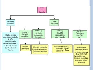Virus de Herpes
simple y
Citomegalovirus
Trichomona
Vaginalis (17%)
Ureaplasma urealyticum (15-
25%)
Micoplasma geniatum (25%)
Chlamydia Trachomatis (40%)
 