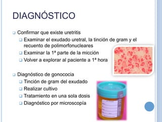 DIAGNÓSTICO
 Confirmar que existe uretritis
 Examinar el exudado uretral, la tinción de gram y el
recuento de polimorfonucleares
 Examinar la 1ª parte de la micción
 Volver a explorar al paciente a 1ª hora
 Diagnóstico de gonococia
 Tinción de gram del exudado
 Realizar cultivo
 Tratamiento en una sola dosis
 Diagnóstico por microscopía
 