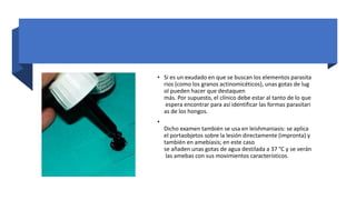 • Si es un exudado en que se buscan los elementos parasita
rios (como los granos actinomicéticos), unas gotas de lug
ol pueden hacer que destaquen
más. Por supuesto, el clínico debe estar al tanto de lo que
espera encontrar para así identificar las formas parasitari
as de los hongos.
•
Dicho examen también se usa en leishmaniasis: se aplica
el portaobjetos sobre la lesión directamente (impronta) y
también en amebiasis; en este caso
se añaden unas gotas de agua destilada a 37 °C y se verán
las amebas con sus movimientos característicos.
 
