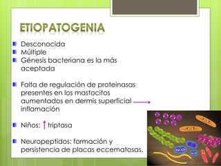 Desconocida
Múltiple
Génesis bacteriana es la más
aceptada
Falta de regulación de proteinasas
presentes en los mastocitos
aumentados en dermis superficial
inflamación
Niños: triptasa
Neuropeptidos: formación y
persistencia de placas eccematosas.
 