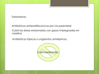 Tratamiento
Antibióticos antiestafilocócicos por vía parenteral
Cubrir las áreas erosionadas con gasas impregnadas en
vaselina
Antibióticos tópicos o ungüentos antisépticos.
Corticoesteroides
 
