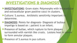 Gram Polymorphs derma final ppt 1-25.pptx, medicine, derma | PPTX