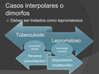 Casos interpolares o
dimorfos
 Deben ser tratados como lepromatosos
Reversa
(paucibacilar) Degradación
(multibacilar)
Tuberculoide
Lepromatoso
Inmunidad
humoral
Inmunidad
celular
 