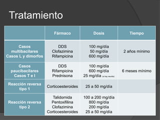 Tratamiento
Fármaco Dosis Tiempo
Casos
multibacilares
Casos L y dimorfos
DDS
Clofazimina
Rifampicina
100 mg/día
50 mg/día
600 mg/día
2 años mínimo
Casos
paucibacilares
Casos T e I
DDS
Rifampicina
Prednisona
100 mg/día
600 mg/día
25 mg/día (si hay neuritis)
6 meses mínimo
Reacción reversa
tipo 1
Corticoesteroides 25 a 50 mg/día
Reacción reversa
tipo 2
Talidomida
Pentoxifilina
Clofazimina
Corticoesteroides
100 a 200 mg/día
800 mg/día
200 mg/día
25 a 50 mg/día
 