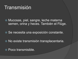 Transmisión
 Mucosas, piel, sangre, leche materna
semen, orina y heces. También el Flüge.
 Se necesita una exposición constante.
 No existe transmisión transplacentaria.
 Poco transmisible.
 