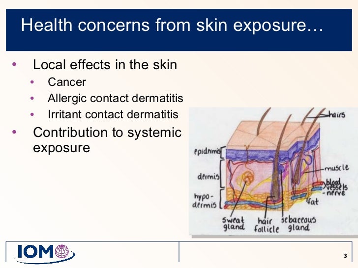 Dermal exposure measurement and modelling