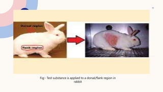 11
Fig:- Test substance is applied to a dorsal/flank region in
rabbit
 