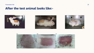 Presentation title 28
After the test animal looks like:-
 