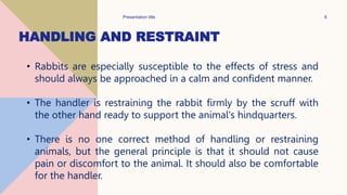 Presentation title 8
HANDLING AND RESTRAINT
• Rabbits are especially susceptible to the effects of stress and
should always be approached in a calm and confident manner.
• The handler is restraining the rabbit firmly by the scruff with
the other hand ready to support the animal's hindquarters.
• There is no one correct method of handling or restraining
animals, but the general principle is that it should not cause
pain or discomfort to the animal. It should also be comfortable
for the handler.
 