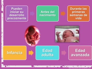Pueden                   Durante las
  iniciar su    Antes del    primeras
 desarrollo    nacimiento   semanas de
precozmente                    vida




                Edad          Edad
Infancia
                adulta      avanzada
 