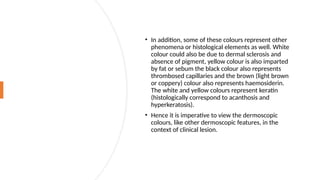 Dermoscopy in Dermatology: Principles, Patterns, and Clinical ...
