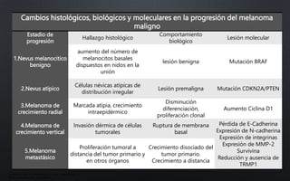 Cambios histológicos, biológicos y moleculares en la progresión del melanoma
maligno
Estadio de
progresión
Hallazgo histológico
Comportamiento
biológico
Lesión molecular
1.Nevus melanocitico
benigno
aumento del número de
melanocitos basales
dispuestos en nidos en la
unión
lesión benigna Mutación BRAF
2.Nevus atípico
Células névicas atípicas de
distribución irregular
Lesión premaligna Mutación CDKN2A/PTEN
3.Melanoma de
crecimiento radial
Marcada atipia, crecimiento
intraepidérmico
Disminución
diferenciación,
proliferación clonal
Aumento Ciclina D1
4.Melanoma de
crecimiento vertical
Invasión dérmica de células
tumorales
Ruptura de membrana
basal
Pérdida de E-Cadherina
Expresión de N-cadherina
Expresión de integrinas
Expresión de MMP-2
Survivina
Reducción y ausencia de
TRMP1
5.Melanoma
metastásico
Proliferación tumoral a
distancia del tumor primario y
en otros órganos
Crecimiento disociado del
tumor primario.
Crecimiento a distancia
• Fitzpatrick. Atlas de dermatología clínica, 7ma edición
• Arenas. Dermatología, 6ta edición
 