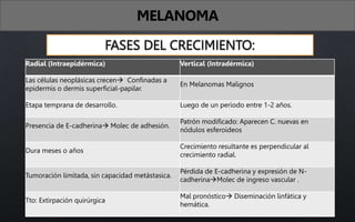 FASES DEL CRECIMIENTO:
Radial (Intraepidérmica) Vertical (Intradérmica)
Las células neoplásicas crecen Confinadas a
epidermis o dermis superficial-papilar.
En Melanomas Malignos
Etapa temprana de desarrollo. Luego de un periodo entre 1-2 años.
Presencia de E-cadherina Molec de adhesión.
Patrón modificado: Aparecen C. nuevas en
nódulos esferoideos
Dura meses o años
Crecimiento resultante es perpendicular al
crecimiento radial.
Tumoración limitada, sin capacidad metástasica.
Pérdida de E-cadherina y expresión de N-
cadherinaMolec de ingreso vascular .
Tto: Extirpación quirúrgica
Mal pronóstico Diseminación linfática y
hemática.
MELANOMA
 