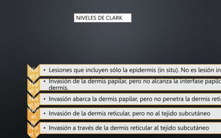 Niv
el I
• Lesiones que incluyen sólo la epidermis (in situ). No es lesión inv
Niv
el II
• Invasión de la dermis papilar, pero no alcanza la interfase papilo
dermis.
Niv
el III
• Invasión abarca la dermis papilar, pero no penetra la dermis retic
Niv
el
IV
• Invasión de la dermis reticular, pero no al tejido subcutáneo
Niv
el V
• Invasión a través de la dermis reticular al tejido subcutáneo
NIVELES DE CLARK
 