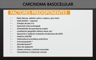 CARCINOMA BASOCELULAR
• - Pieles blancas, cabellos rubios o rojizos y ojos claros
• - Edad (adultos - mayores)
• - Fototipo de piel (I-II)
• - Exposición solar prolongada
• - Antecedentes de quemaduras solares
• - Localización geográfica (latitud, altura, etc)
• - Exposición a radiación ionizantes (mutaciones del ADN)
• - Arsénico (HACRE)
• - Hidrocarburos aromáticos policíclicos
• - Inmunosupresión *
• - Genodermatosis**
• - Nevo de Jadassohn
• - Ulceras crónicas y cicatrices anormales
• - Traumatismos e irritaciones crónicas
FACTORES PREDISPONENTES
 