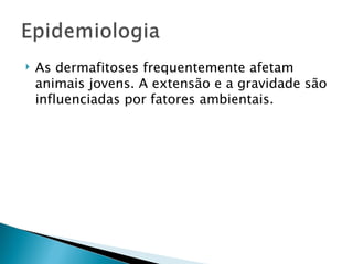    As dermafitoses frequentemente afetam
    animais jovens. A extensão e a gravidade são
    influenciadas por fatores ambientais.
 