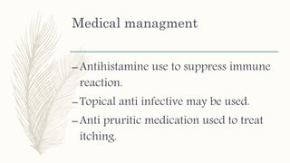 Medical managment
–Antihistamine use to suppress immune
reaction.
–Topical anti infective may be used.
–Anti pruritic medication used to treat
itching.
 