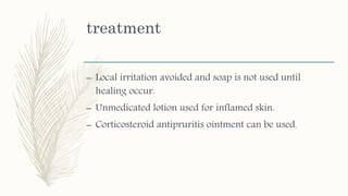 treatment
– Local irritation avoided and soap is not used until
healing occur.
– Unmedicated lotion used for inflamed skin.
– Corticosteroid antipruritis ointment can be used.
 