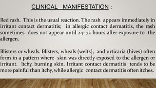 CLINICAL MANIFESTATION :
Red rash. This is the usual reaction. The rash appears immediately in
irritant contact dermatitis; in allergic contact dermatitis, the rash
sometimes does not appear until 24–72 hours after exposure to the
allergen.
Blisters or wheals. Blisters, wheals (welts), and urticaria (hives) often
form in a pattern where skin was directly exposed to the allergen or
irritant. Itchy, burning skin. Irritant contact dermatitis tends to be
more painful than itchy, while allergic contact dermatitis oftenitches.
 